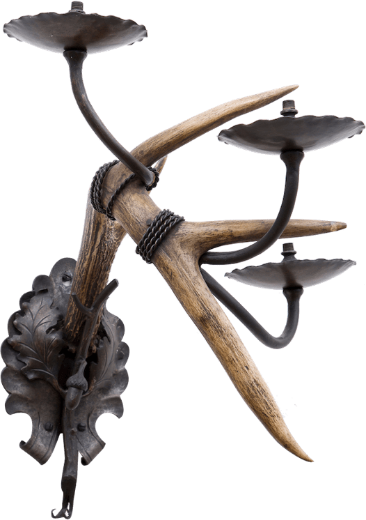 deer antlers