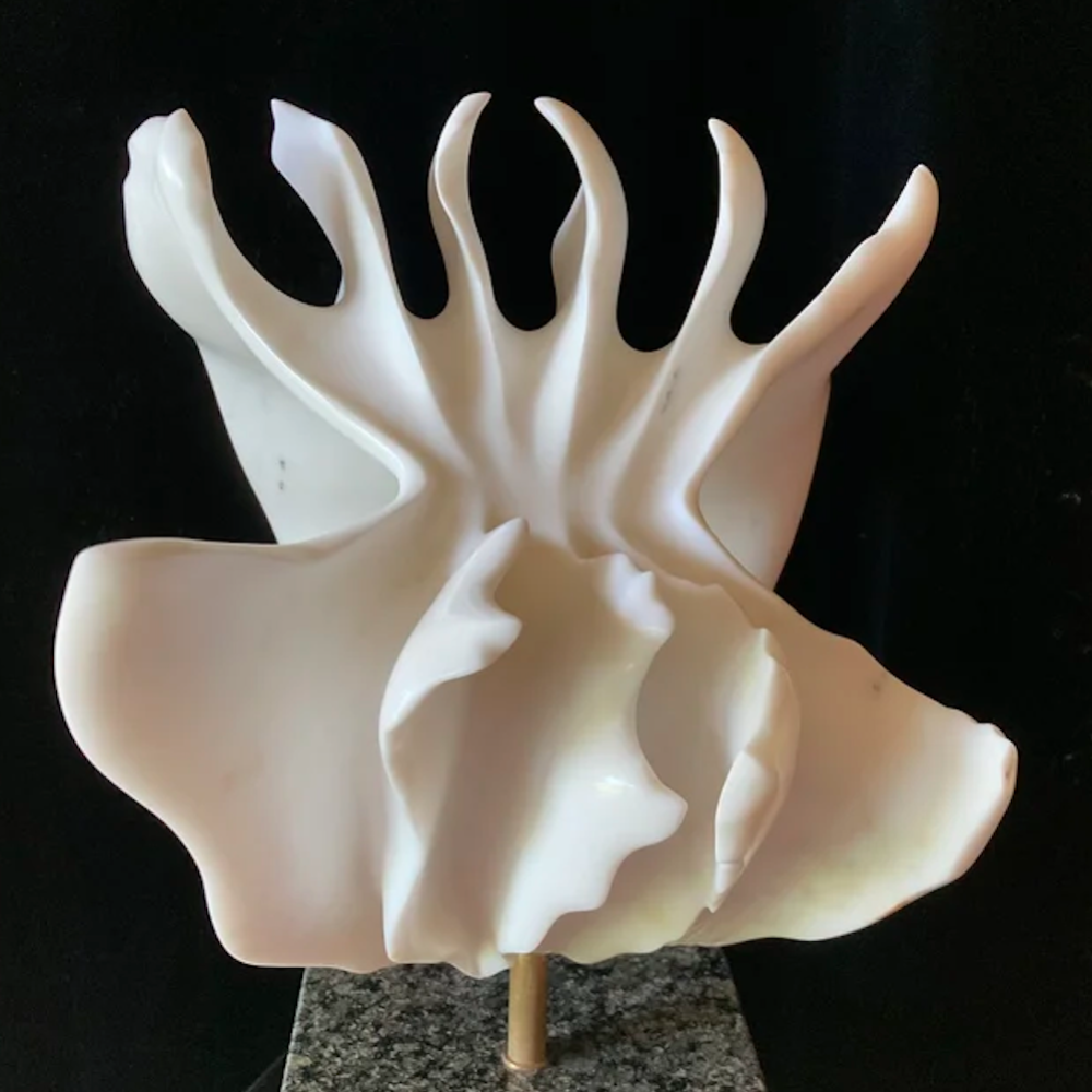 Susan Falkman: From Italy to Milwaukee preview image